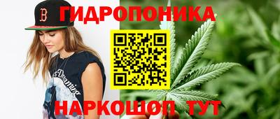 эйфоретик Тверь